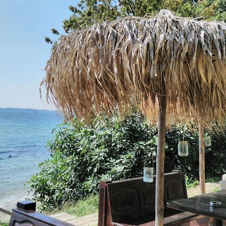 Alex Beach Apartment سفيتي فلاس المظهر الخارجي الصورة