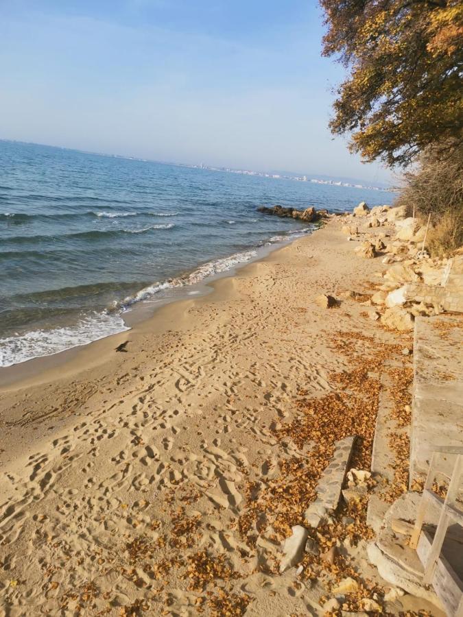 Alex Beach Apartment سفيتي فلاس المظهر الخارجي الصورة