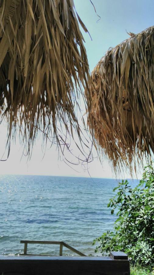 Alex Beach Apartment سفيتي فلاس المظهر الخارجي الصورة