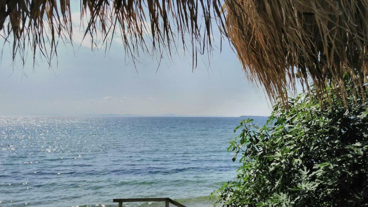 Alex Beach Apartment سفيتي فلاس المظهر الخارجي الصورة
